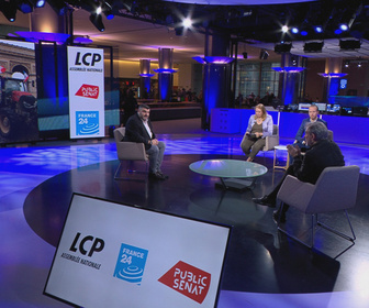 Replay Ici l'Europe - Accord de libre-échange avec le Mercosur : l'agriculture européenne sacrifiée ?