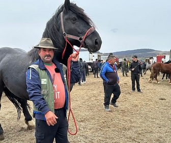 Replay Roumanie : les marchés aux chevaux contestés - ARTE Regards