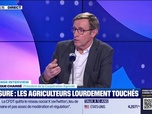 Replay Good Evening Business - Dominique Chargé (Coopération Agricole) : Censure, les agriculteurs lourdement touchés - 03/12