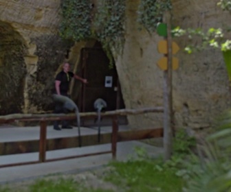 Replay Zoo, le défi de demain - Une arrivée tant attendue