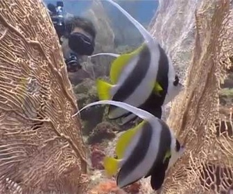 Replay Latitude Malgache - Sakatia. Rencontres aquatiques - Madagascar