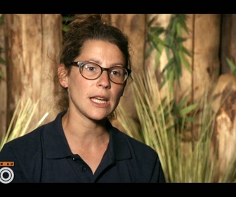 Replay Une saison au zoo - S12 E54