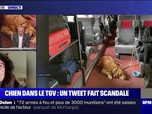 Replay Marschall Truchot Story - Story 3 : Un chien dans le TGV, un tweet fait scandale - 27/02