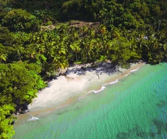 Replay La République dominicaine, trésor des Caraïbes