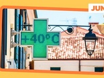 Replay Canicule : pourquoi les animaux souffrent particulièrement - ARTE Journal Junior de mercredi