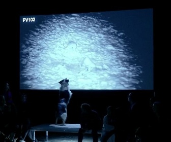 Replay ARTE Journal - In bocca al lupo, spectacle entre chien et loup