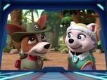 Replay Paw Patrol, la Pat'Patrouille - Un éléphanteau joueur