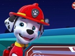 Replay Paw Patrol, la Pat'Patrouille - Le chanteur et les loups