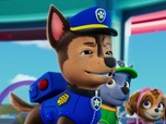 Replay Paw Patrol, la Pat'Patrouille - La poule en folie