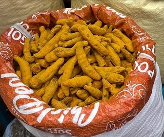 Replay Curcuma, le safran des Indes - Les sanctuaires d'épices