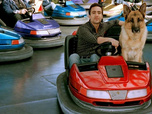 Replay Rex, chien flic - 04/09/2026