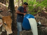 Replay Urgence climatique : un défi mondial - Honduras : sous l'emprise d'El Niño