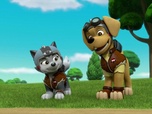 Replay Paw Patrol, la Pat'Patrouille - La Moto Patrouille : Les donuts de Monsieur Porter