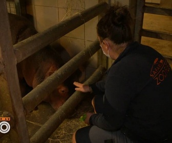 Replay Une saison au zoo - S12 E46