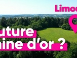 Replay Top Info - Pourquoi la France cherche à ouvrir des mines d'or ?