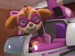 Replay Paw Patrol, la Pat'Patrouille - Monsieur Hellinger, pilote d'hélicoptère