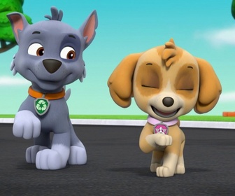 Replay Paw Patrol, la Pat'Patrouille - La Fête avec les Chauves-Souris