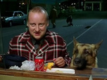 Replay Rex, chien flic - Manipulation
