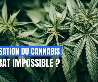 Replay DébatDoc - Légalisation du cannabis : le débat impossible ?