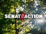 Replay Sénat en action - Forêts françaises, le défi climatique