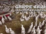 Replay Élément Terre - La grippe aviaire, nouvelle pandémie humaine ?