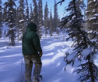 Replay Seuls face à l'Alaska - S6E11 - L'argent ne fait pas le bonheur