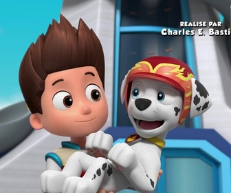 Replay Paw Patrol, la Pat'Patrouille - Panique à la fête foraine