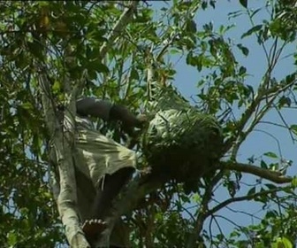 Replay Découverte du Monde - Pemba, l'île aux épices