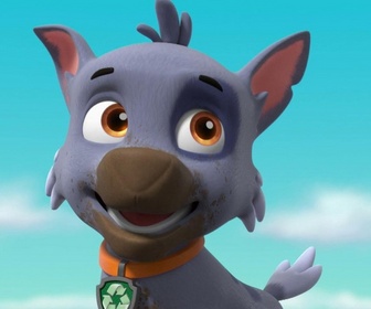 Replay Paw Patrol, la Pat'Patrouille - Le Lav'Animaux