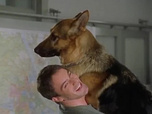 Replay Rex, chien flic - Héritage empoisonné