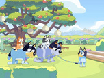 Replay Bluey - 01/09/2026