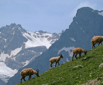 Replay La montagne - Associations de bienfaiteurs