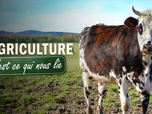 Replay L'agriculture, c'est ce qui nous lie
