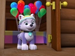 Replay Paw Patrol, la Pat'Patrouille - Le gâteau de Jake