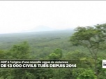Replay Journal de l'Afrique - RDC, les ADF à l'origine d'une nouvelle vague de violences