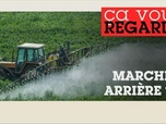 Replay Ça vous regarde - Loi Duplomb : l'écologie sacrifiée ?
