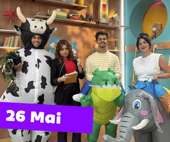 Replay Okoo-koo - 26/05/2026