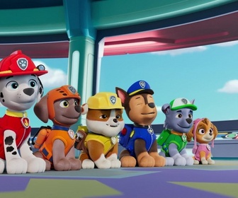 Replay Paw Patrol, la Pat'Patrouille - La grande tombola