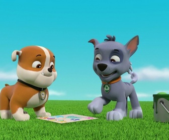 Replay Paw Patrol, la Pat'Patrouille - L'anniversaire d'Alex