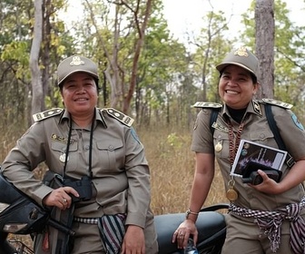 Replay Les orchidées de Cardamomes - La forêt merveilleuse du Cambodge