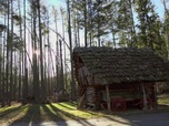 Replay Seuls face à l'Alaska - S6E7 - Proie et prédateur
