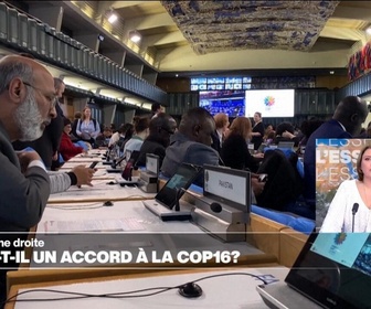 Replay Élément Terre, la quotidienne - La COP 16 Biodiversité proche d'un accord sur le financement de la préservation de la Nature