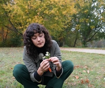 Replay Les plantes sauvages - Voyage gourmand