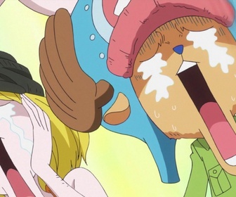 Replay One piece - S19 E03 - Sous la menace du poison. Luffy et reiju !