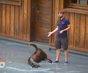 Replay Une saison au zoo - S14 E43
