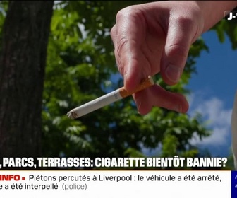 Replay 20H BFM - Plages, parcs, terrasses... la cigarette bientôt bannie de l'espace public?