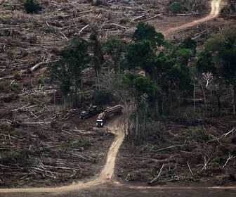 Replay ARTE Journal - Le Parlement européen reporte la loi contre la déforestation