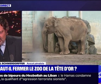 Replay Julie jusqu'à minuit - Faut-il fermer le zoo de la Tête d'Or ? - 17/09