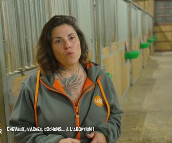 Replay Animaux à adopter - Chevaux, vaches, cochons... A l'adoption !