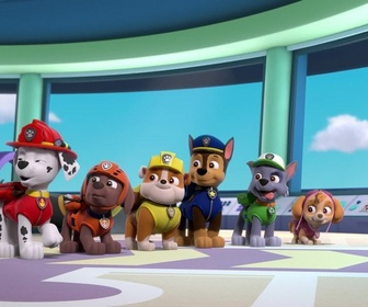 Replay Paw Patrol, la Pat'Patrouille - Toilettage à domicile